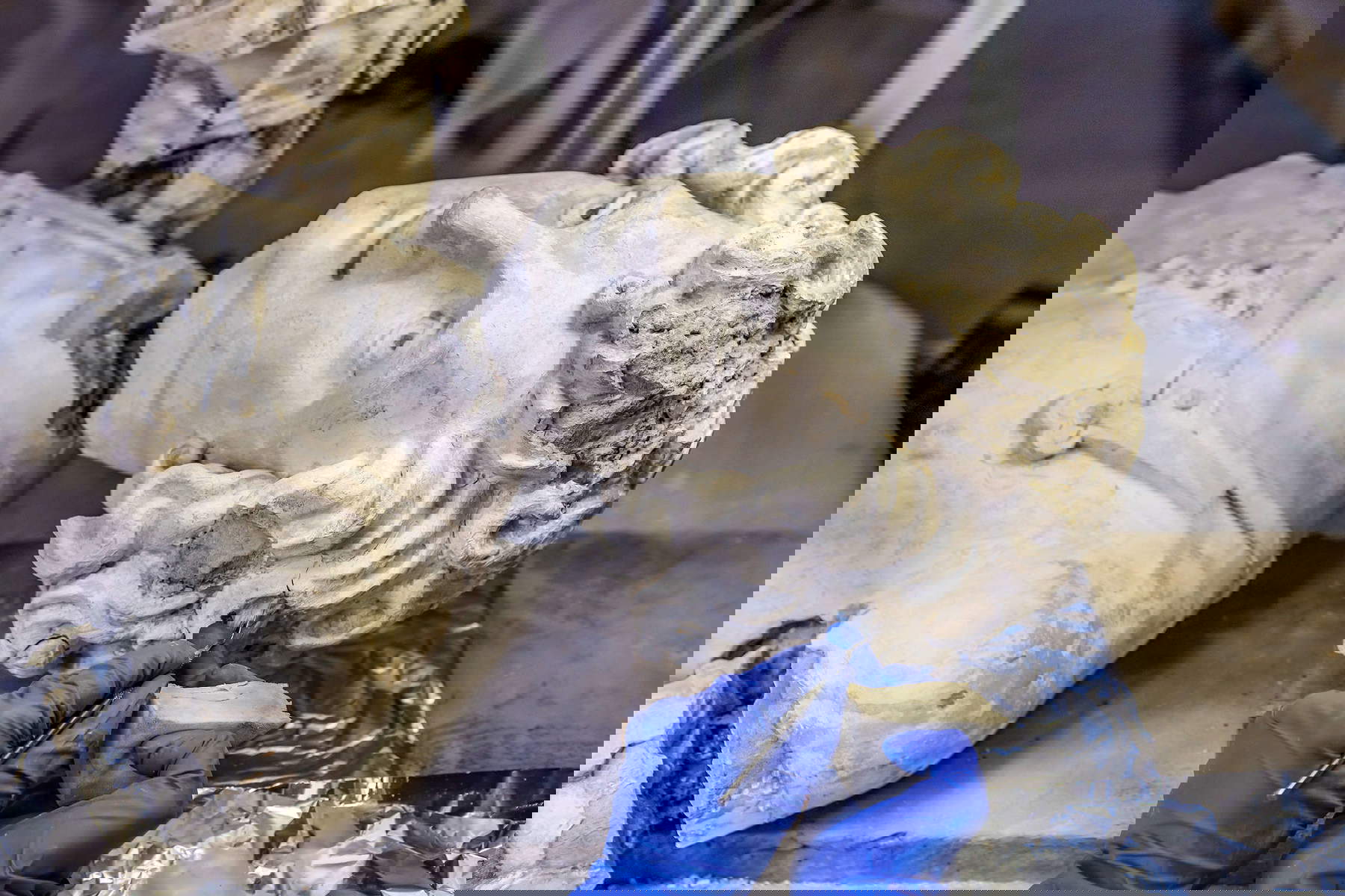 La restauration des six sculptures du Teatro Farnese, Parme, Complesso monumentale della Pilotta &copy; Cristina Urecheanu