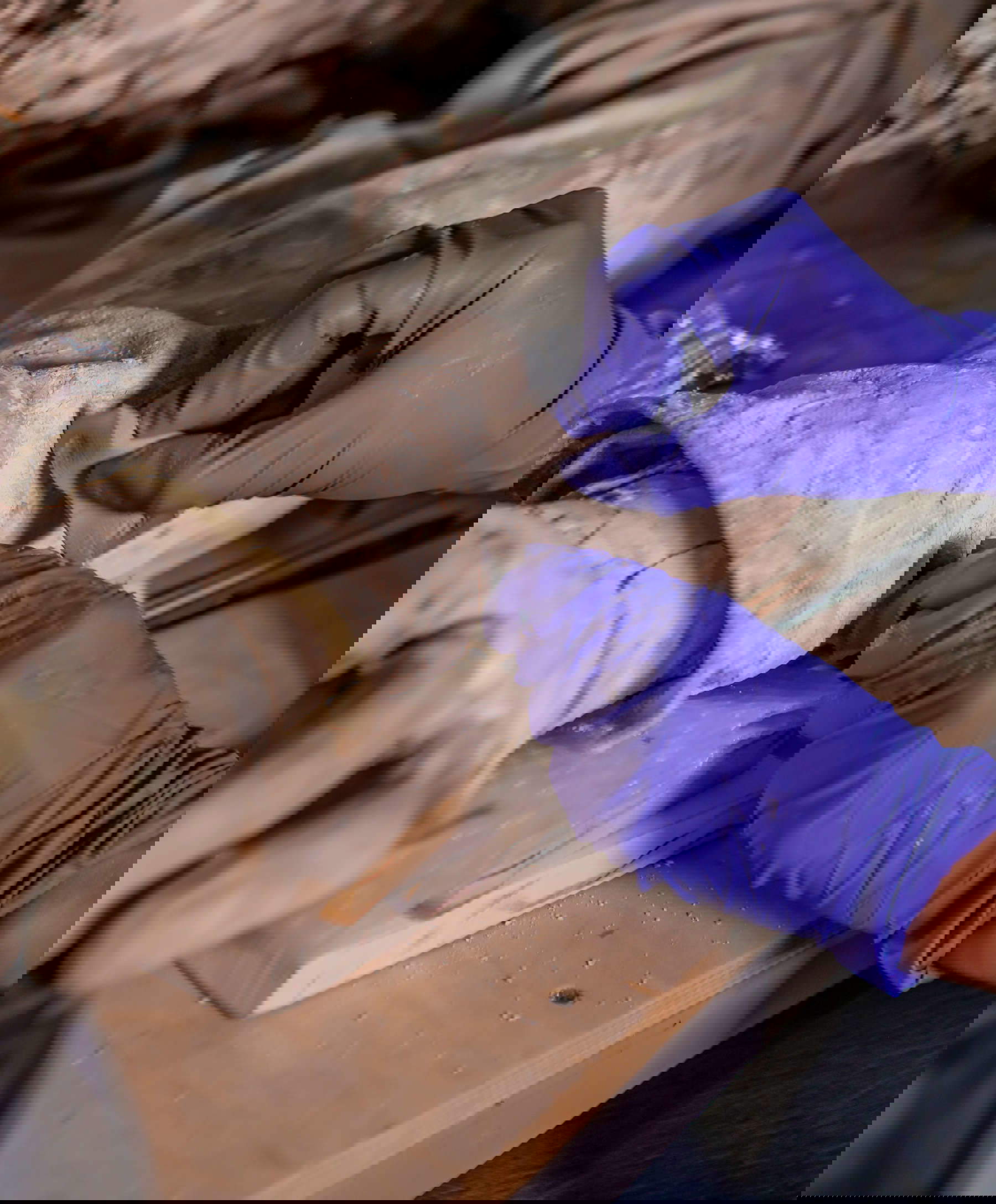 La restauration des six sculptures du Teatro Farnese, Parme, Complesso monumentale della Pilotta &copy; Cristina Urecheanu