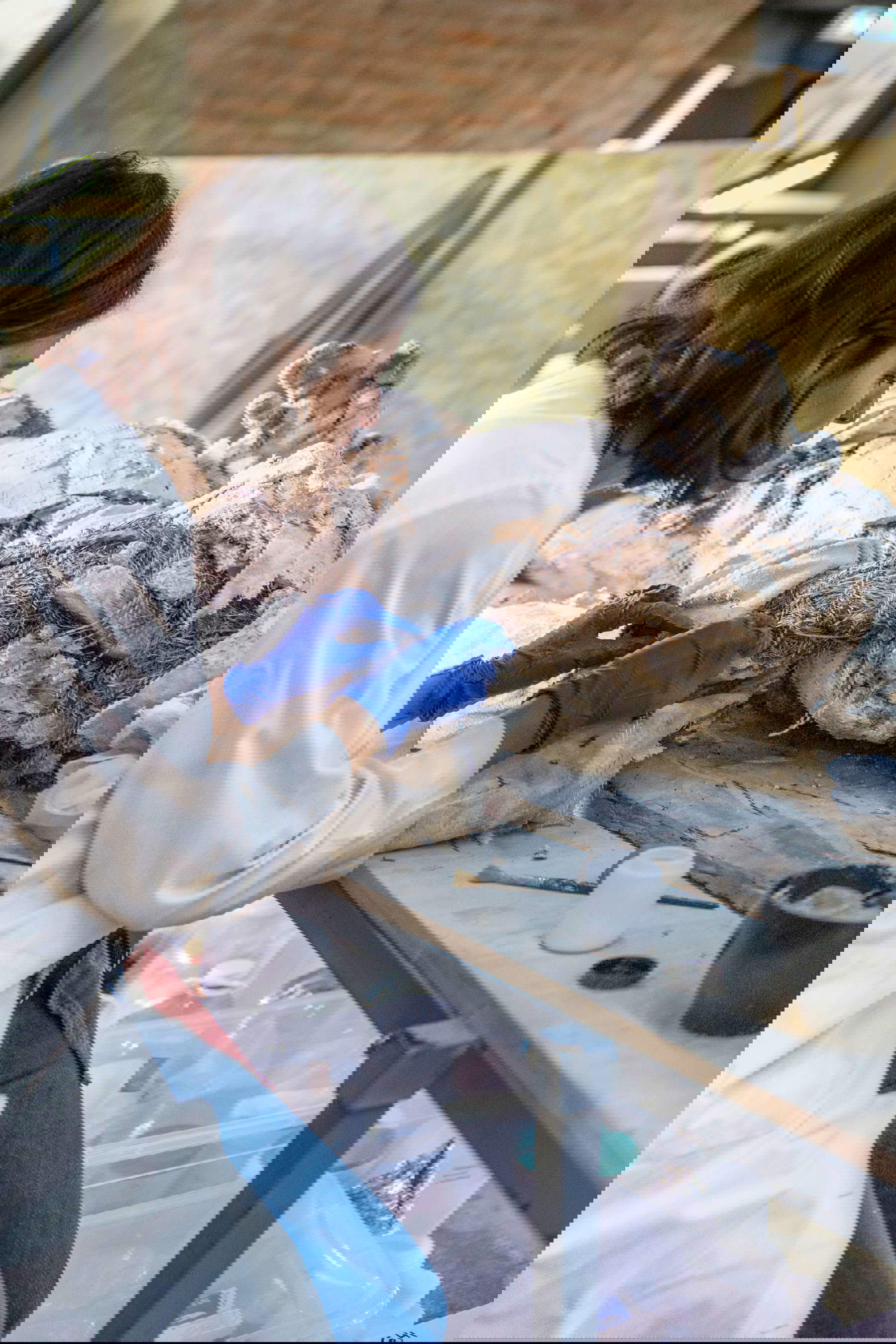 La restauration des six sculptures du Teatro Farnese, Parme, Complesso monumentale della Pilotta &copy; Cristina Urecheanu