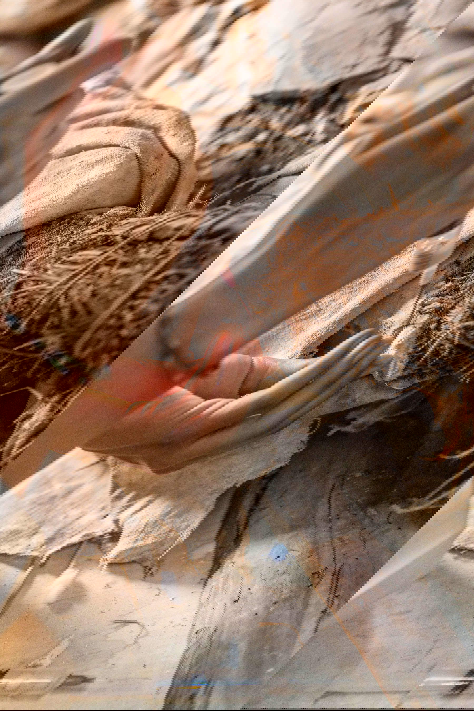 La restauration des six sculptures du Teatro Farnese, Parme, Complesso monumentale della Pilotta &copy; Cristina Urecheanu