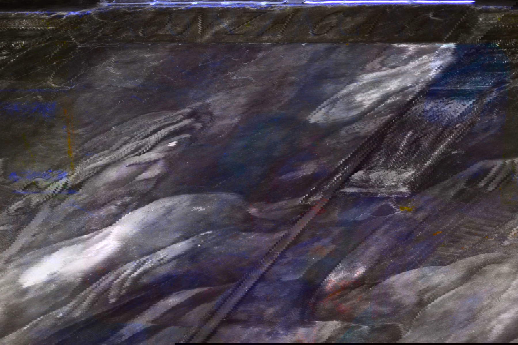 Dettaglio Polifemo, affresco parete est della Camera di Amore e Psiche, Giulio Romano, Palazzo Te: registrazione dell’ultravioletto trasmesso © Fondazione Palazzo Te Dettaglio Polifemo, affresco parete est della Camera di Amore e Psiche, Giulio Romano, Palazzo Te: registrazione dell’ultravioletto trasmesso © Fondazione Palazzo Te