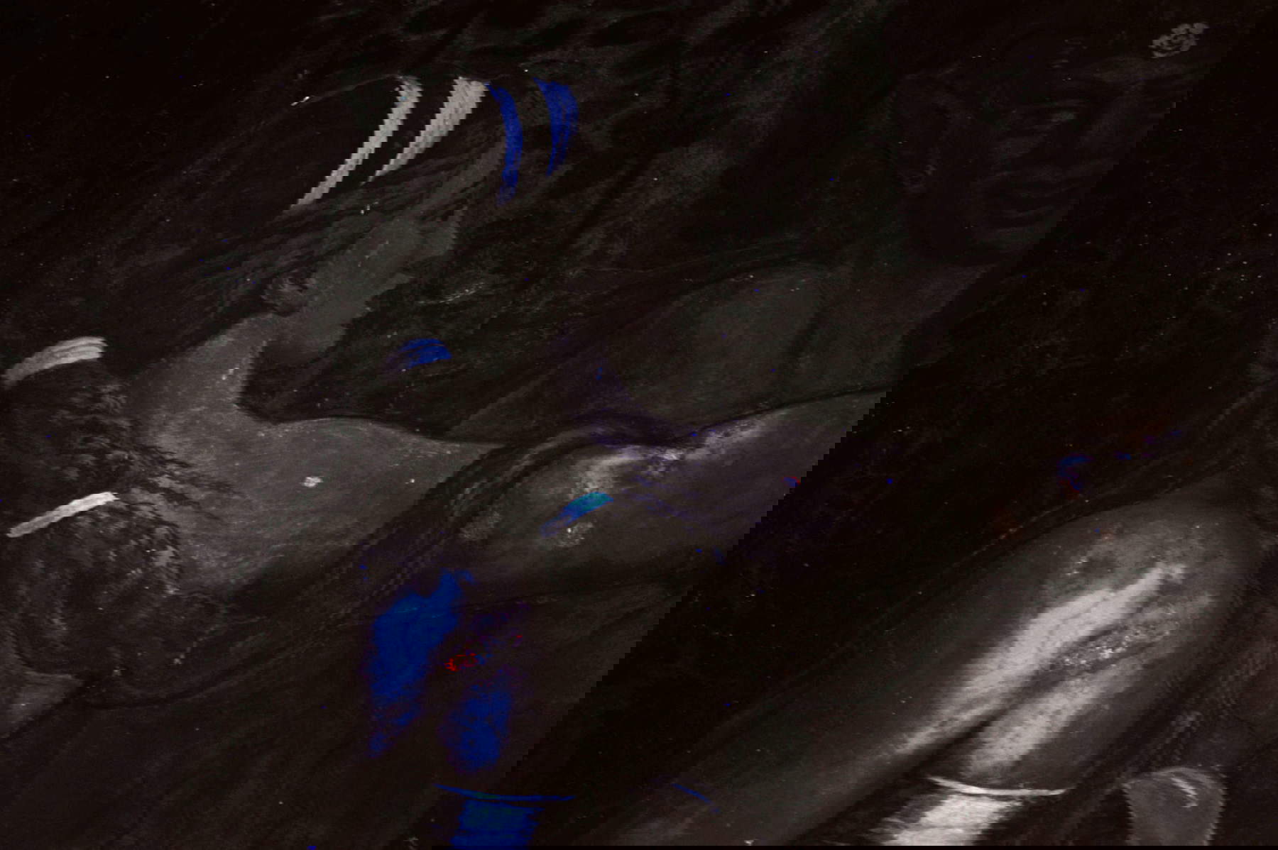 Dettaglio Psiche, affresco parete ovest della Camera di Amore e Psiche, Giulio Romano, Palazzo Te: registrazione dell’ultravioletto trasmesso © Fondazione Palazzo Te Dettaglio Psiche, affresco parete ovest della Camera di Amore e Psiche, Giulio Romano, Palazzo Te: registrazione dell’ultravioletto trasmesso © Fondazione Palazzo Te