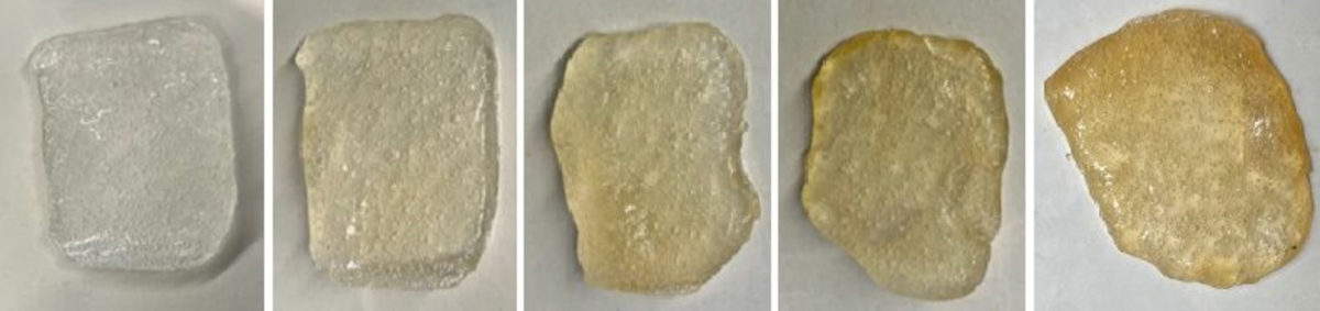 Le gel absorbe progressivement la peinture détachée dans sa matrice. Photo : Fondation Phoebus