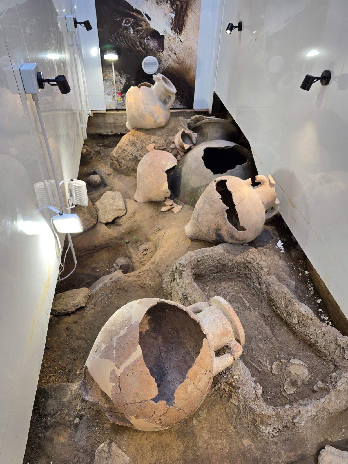 Findings from Di Bartolo Street and the opening of the museum.