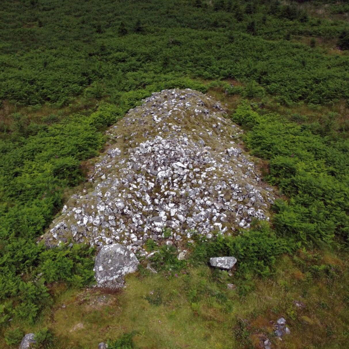 Rovine del cairn camerato di Boreland, in Scozia
