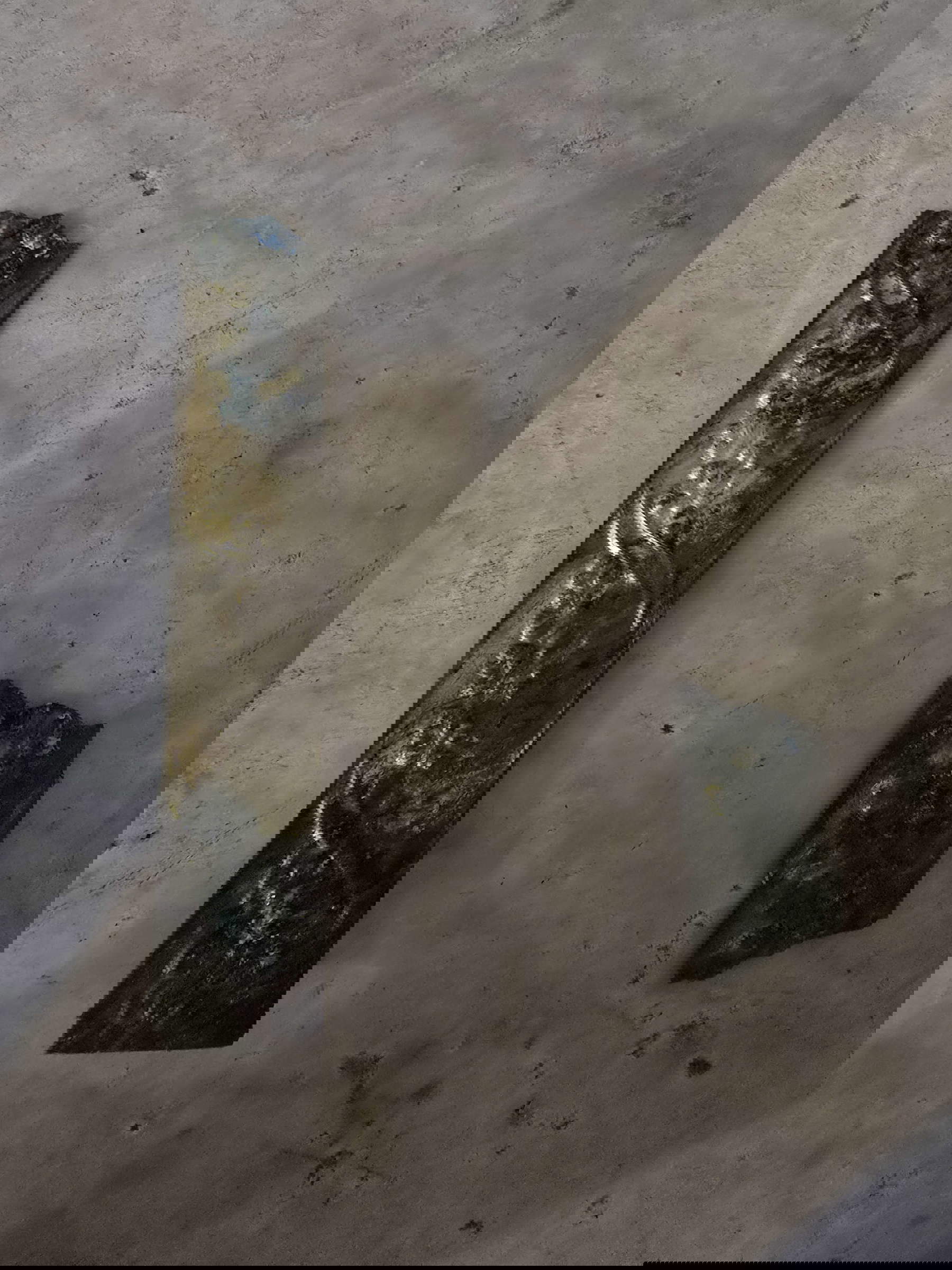 Algunos de los elementos decorativos del ataúd de madera de la cámara funeraria situada bajo la capilla Turbolo del Códice la Nova