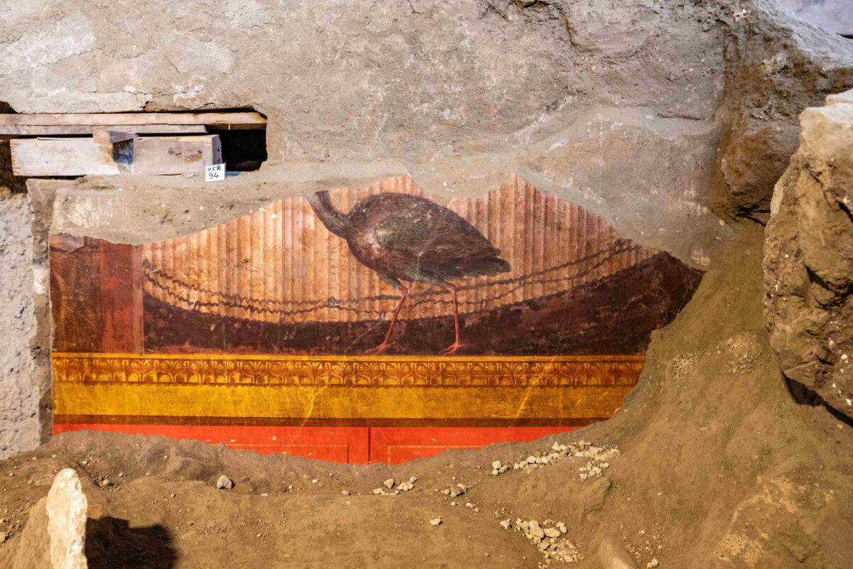 Pompeya, frescos con pavos reales y máscaras emergen en la Villa de Popea en Oplontis 
