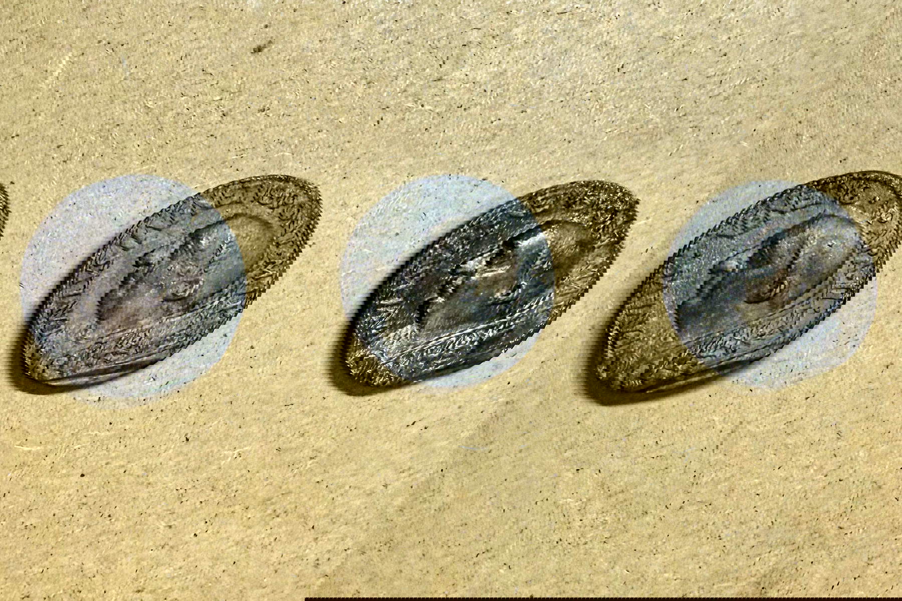 Rome, découverte au Palazzetto Venezia : trois médailles du pape Paul II datant de 1465
