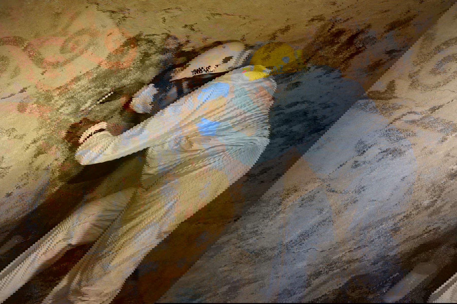 Conservation readiness Conservation readiness