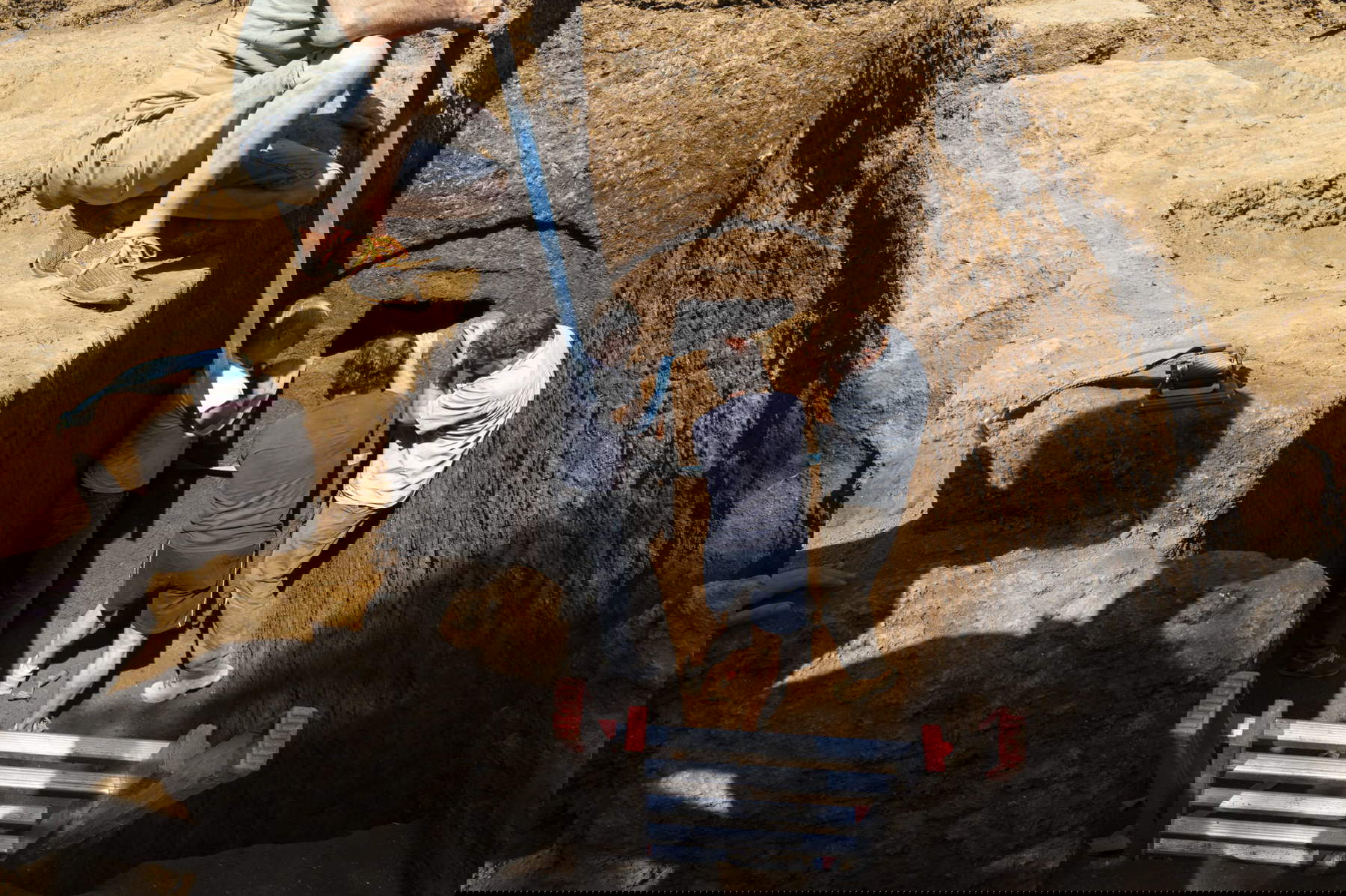 The discovery of the Etruscan tomb in Barbarano Romano