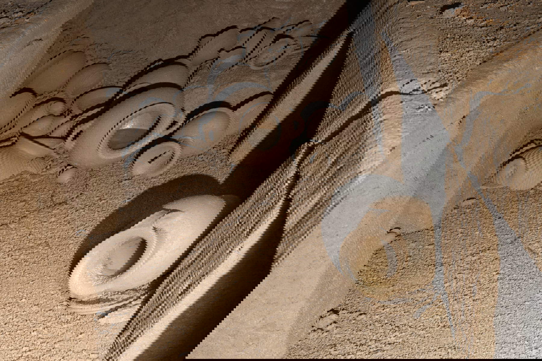 The discovery of the Etruscan tomb in Barbarano Romano