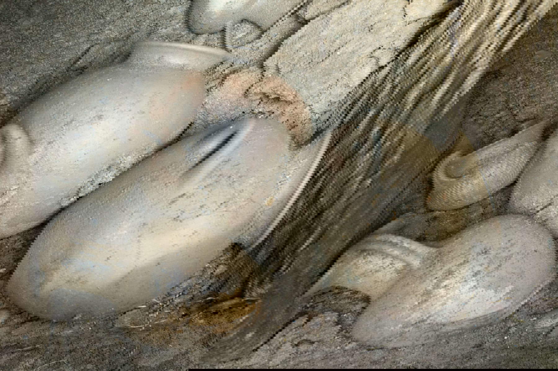 The discovery of the Etruscan tomb in Barbarano Romano