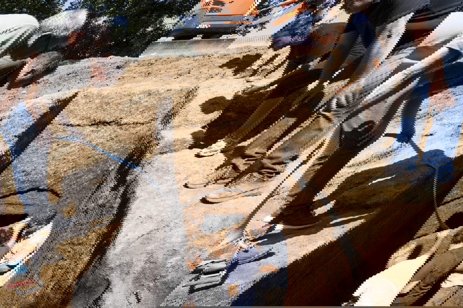 The discovery of the Etruscan tomb in Barbarano Romano