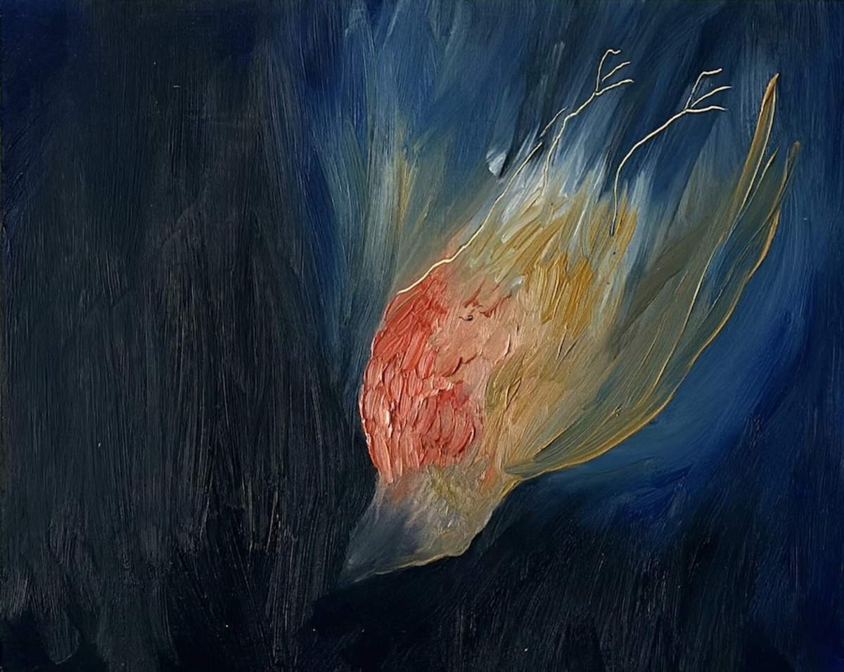 Sebastiano Sofia, A Robin forgot how to fly #1 (2024 olio su tavola, 20,3 x 25,4 cm). Su concessione dell&rsquo;artista e Boccanera Gallery Trento/Milano.