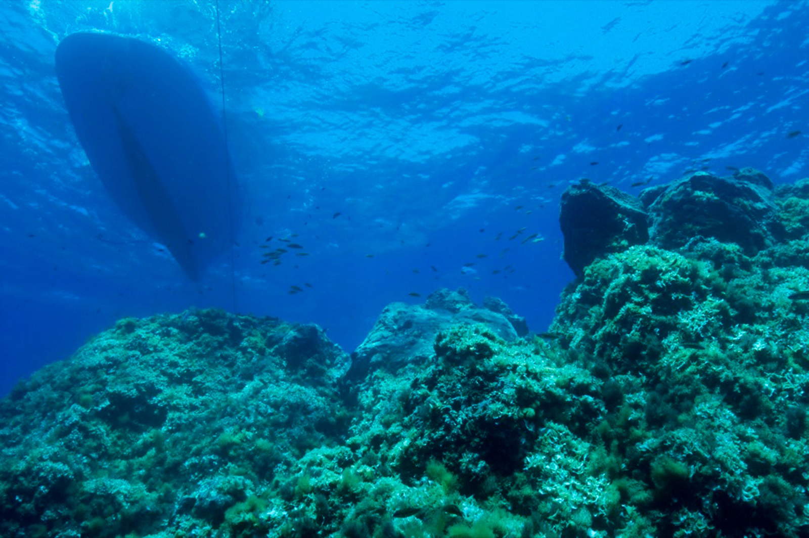 Secca di Capo Graziano a Filicudi. Foto: Salvo Emma