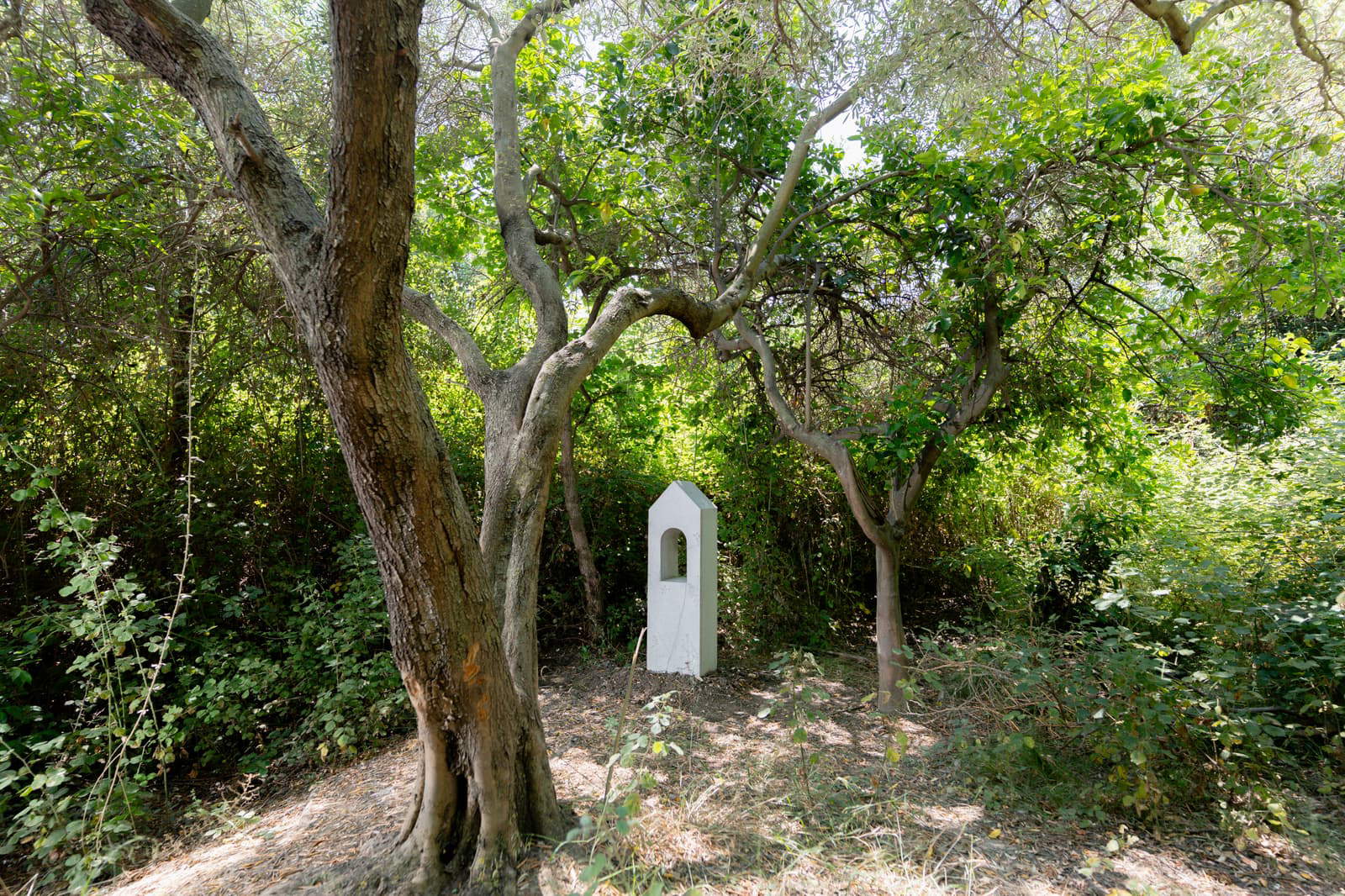 Selva Aparicio, Chora, Siris &copy; Emanuele Taccardi