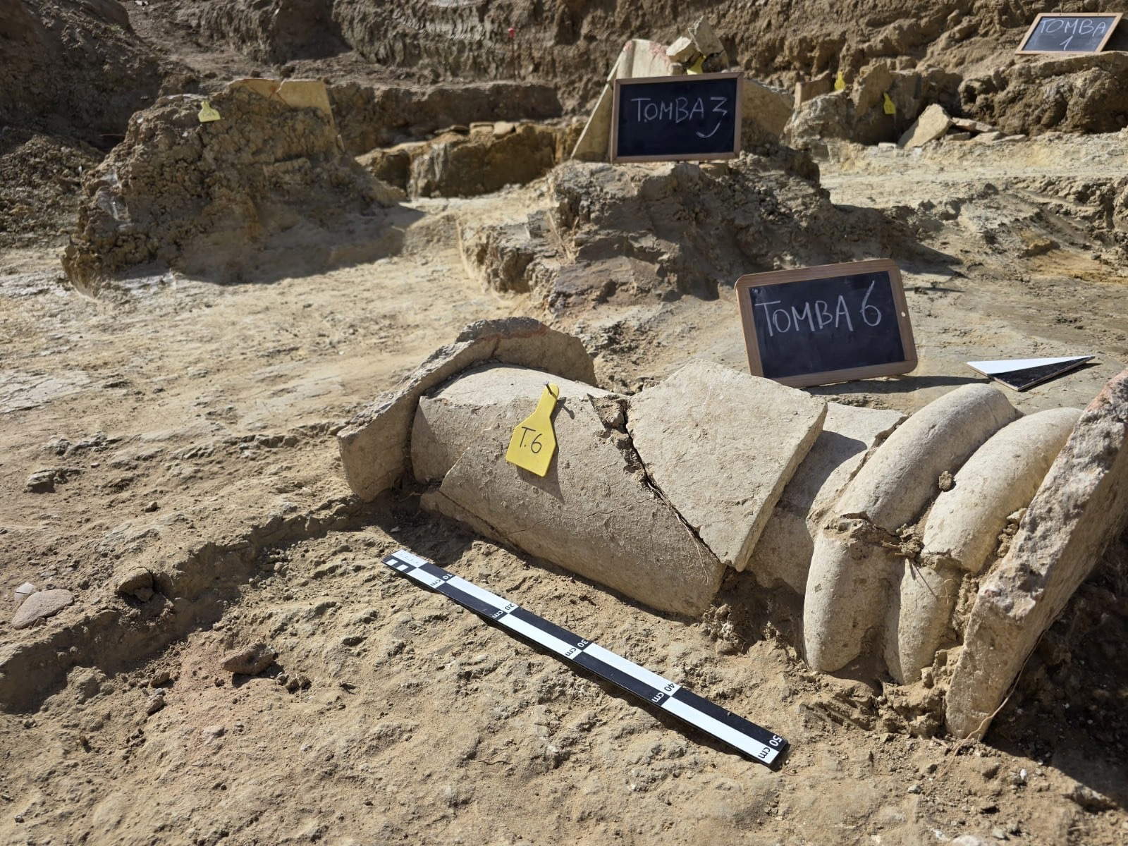 Images of the burials that emerged during the work in Gela