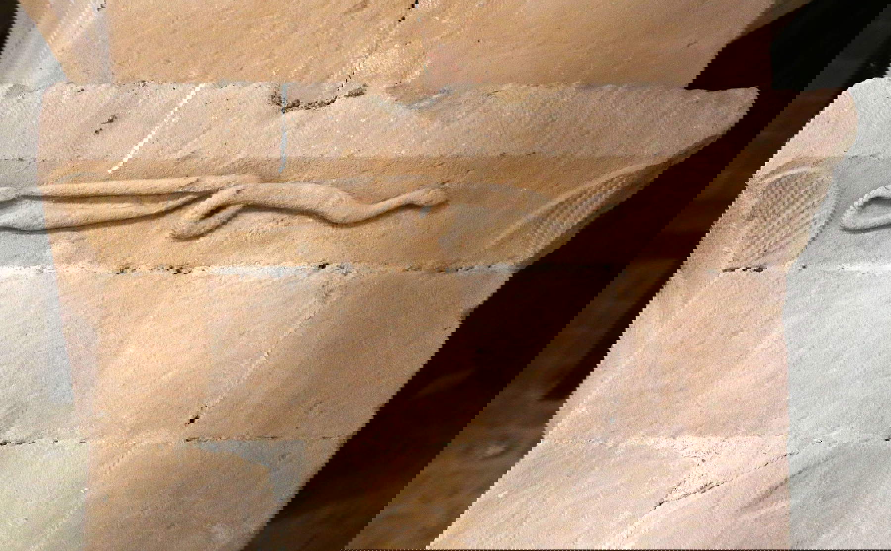 I serpenti della pieve dei Santi Vito e Modesto a Corsignano (Pienza). Foto: Francesco Bini