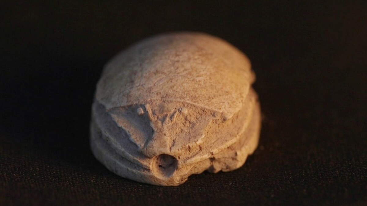 Il retro del sigillo di Tel Azeka, a forma di scarabeo. Foto di Emil Aladjem, Autorit&agrave; israeliana per le antichit&agrave; (IAA)