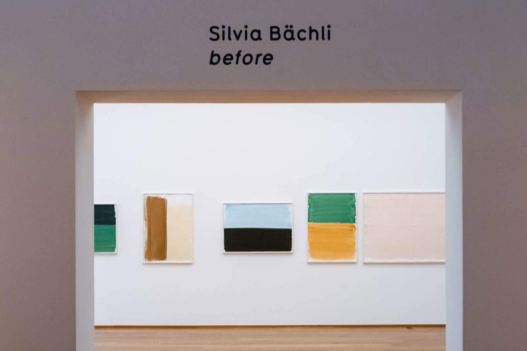 In Bologna, the art of Silvia Bächli in dialogue with that of Giorgio Morandi