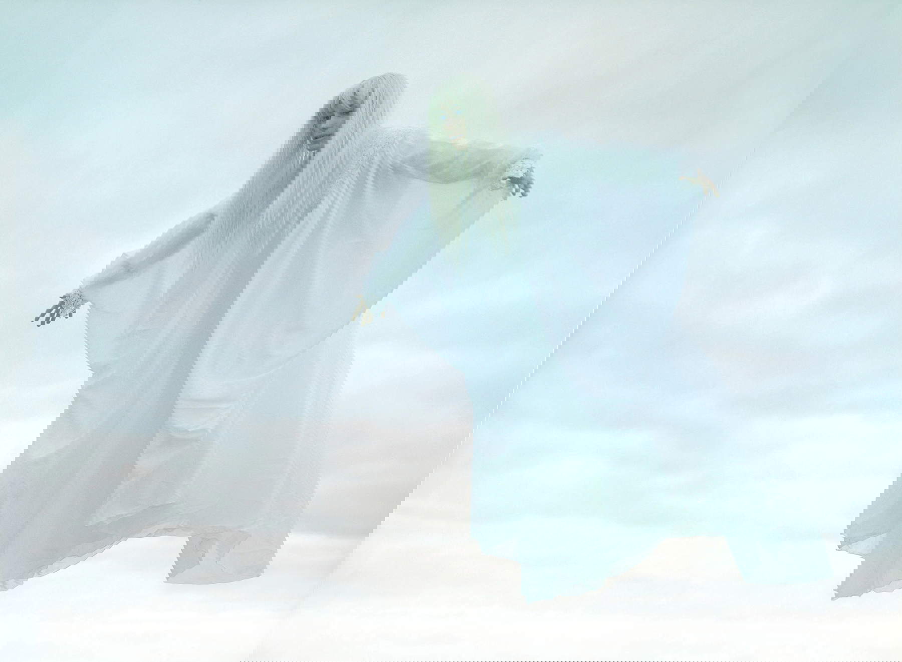 Silvia Camporesi, The Skywalker (2005)