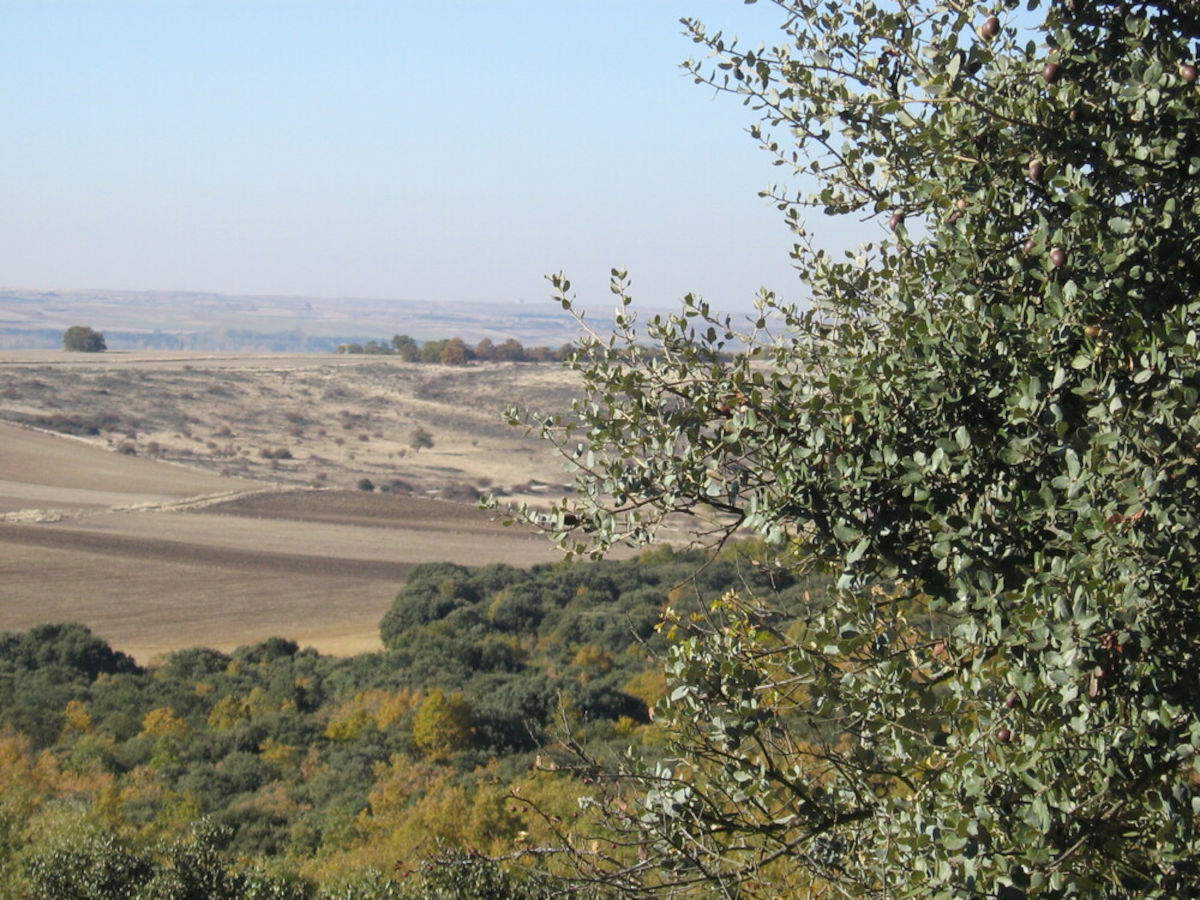 Sito archeologico di Atapuerca. Foto: Beatriz Pinilla &copy; Beatriz Pinilla