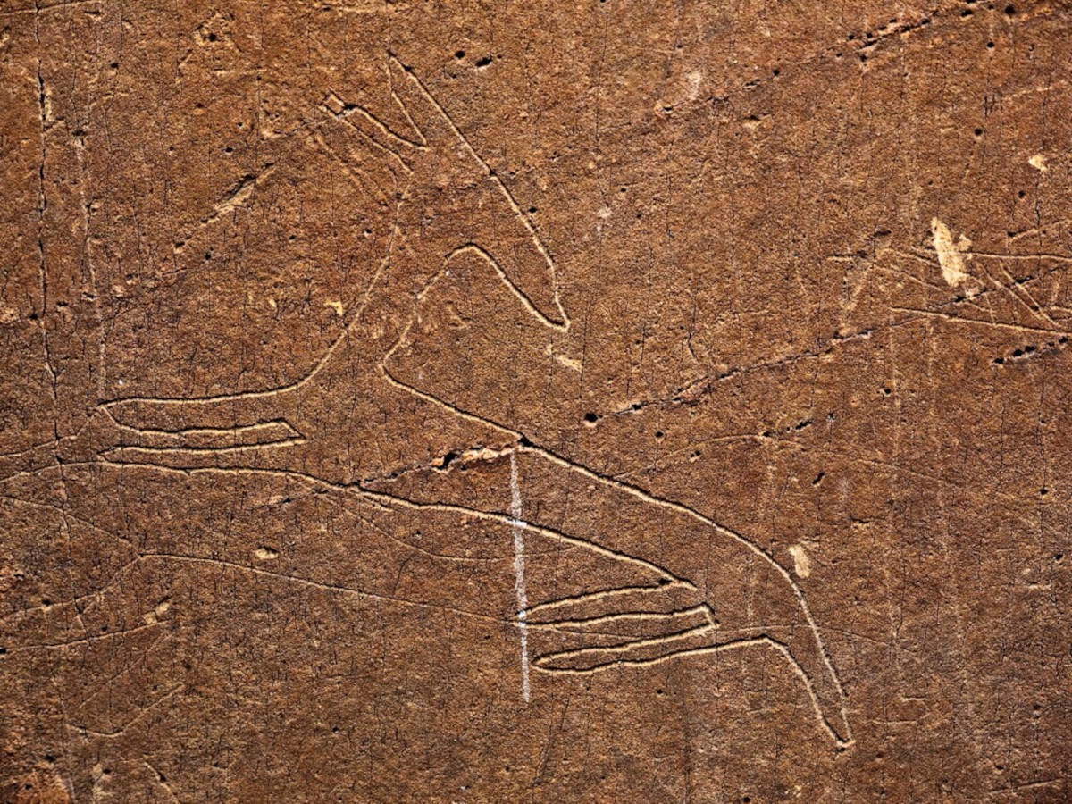 Siti di arte rupestre preistorica nella valle del C&ocirc;a e Siega Verde (Portogallo, Spagna). Foto: Vincent Long &copy; OUR PLACE The World Heritage Collection