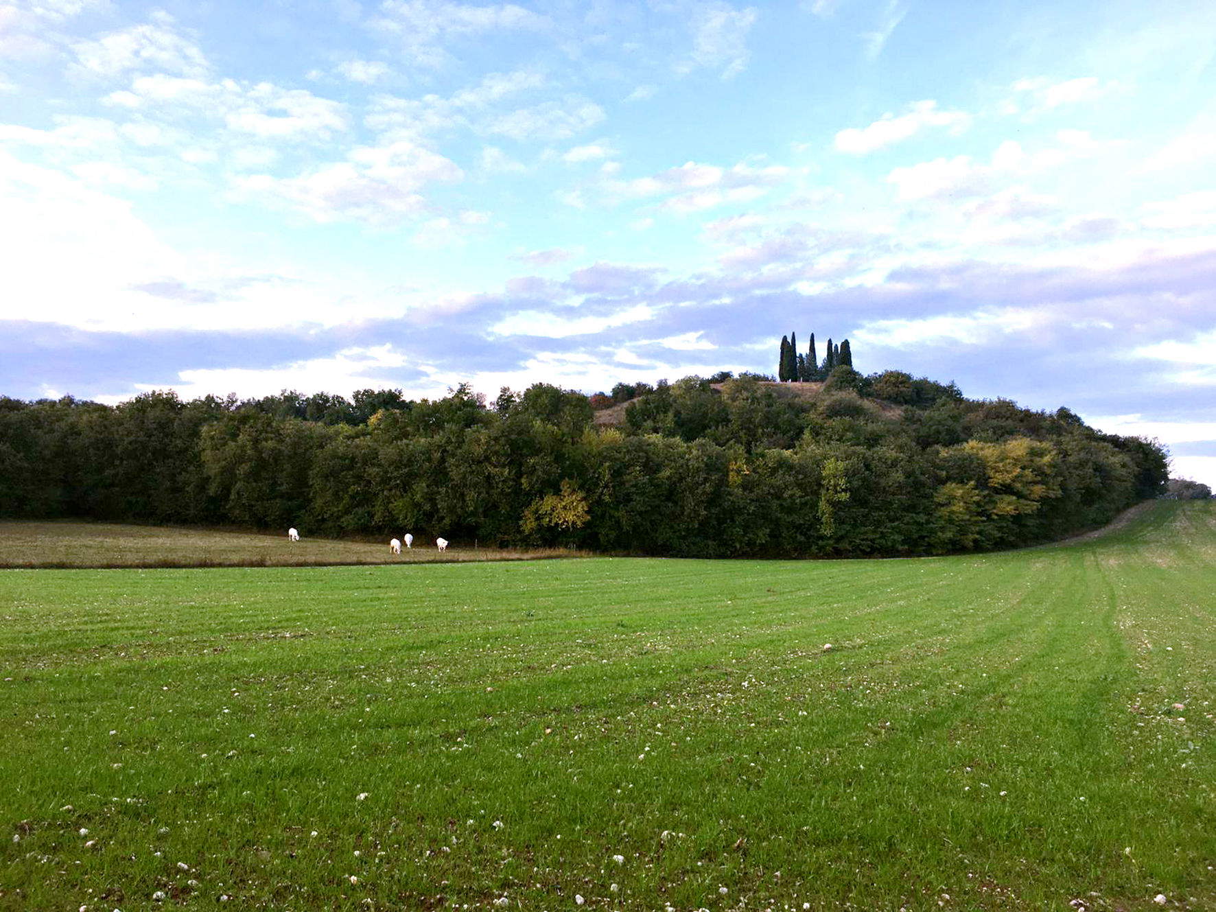 Le campagne collinari di Solferino