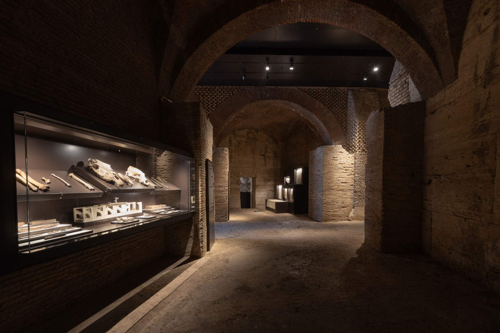 Qui étaient les spectateurs et que faisaient-ils au Colisée ? Inauguration d'une nouvelle section du musée dans l'hypogée 