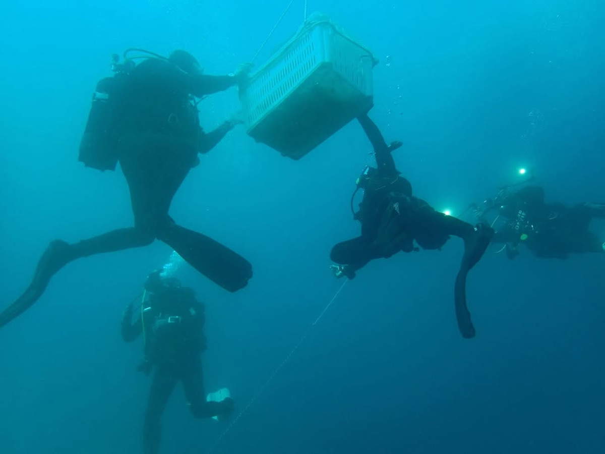 Riemerge nel Salento un frammento bronzeo
