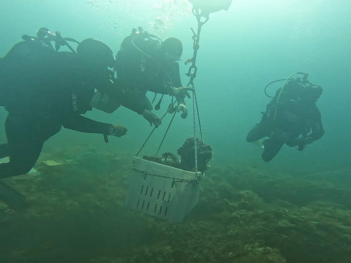 Riemerge nel Salento un frammento bronzeo
