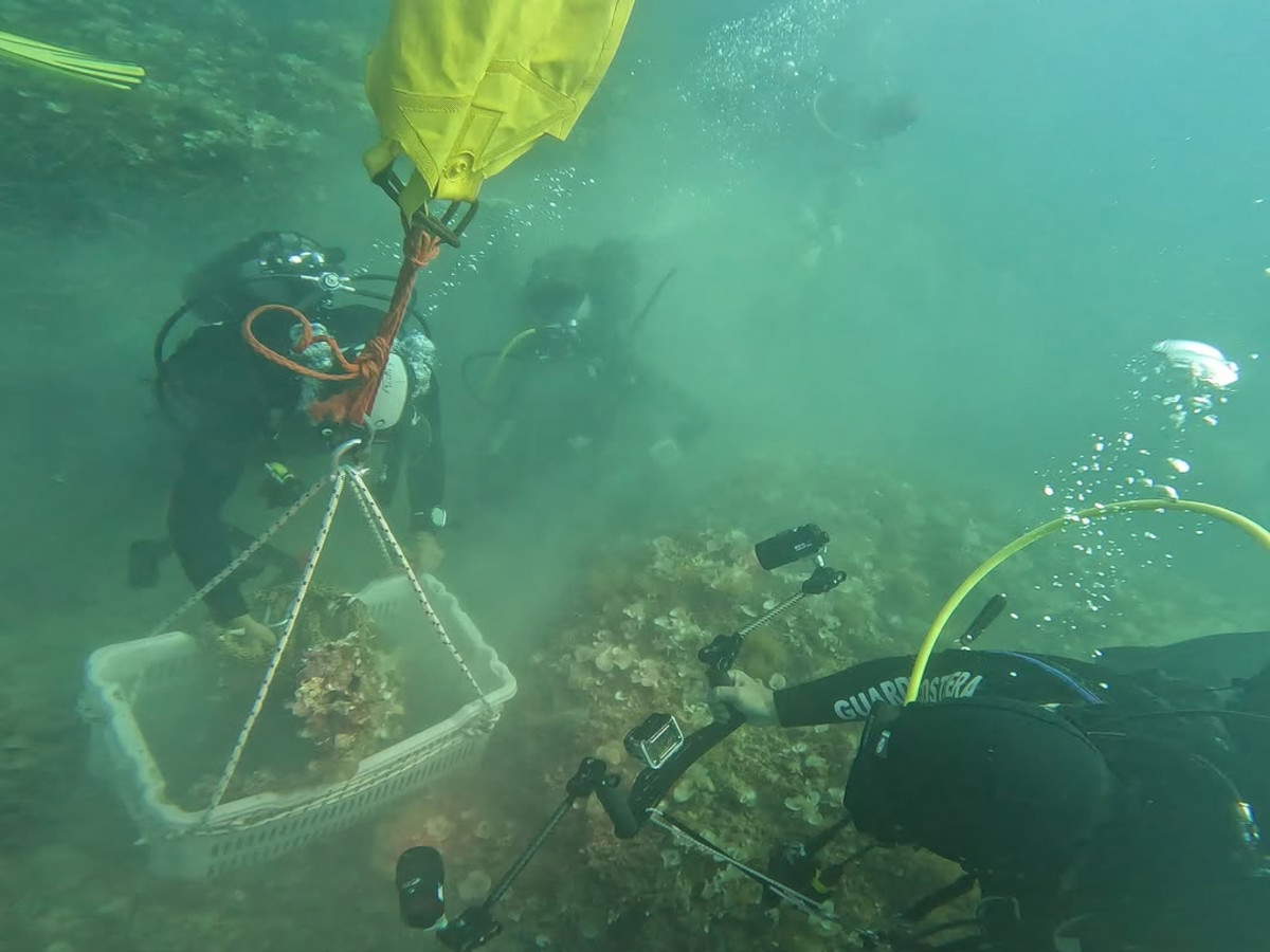 Riemerge nel Salento un frammento bronzeo