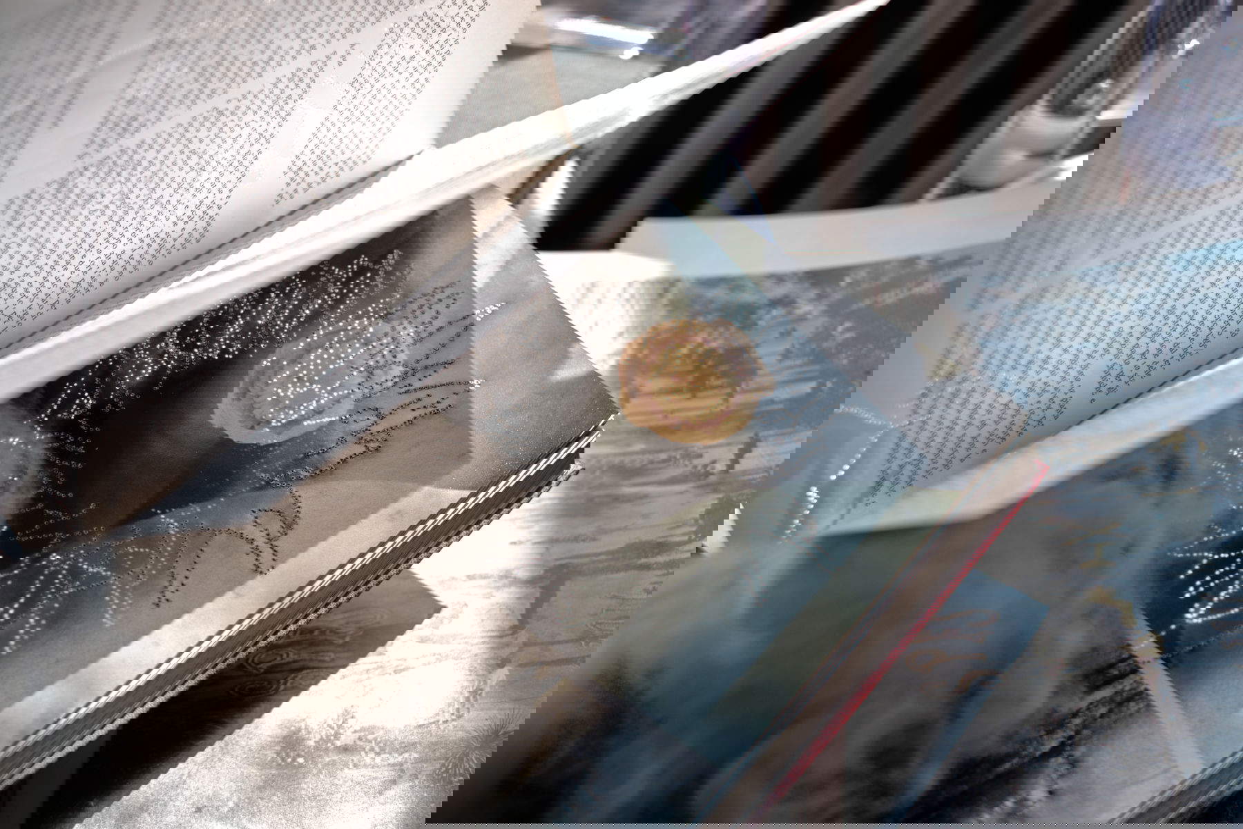 Stefano Arienti, Encyclopedia - detail (2025; Parma, Palazzo Marchi) Photo: Domenico Buttafoco