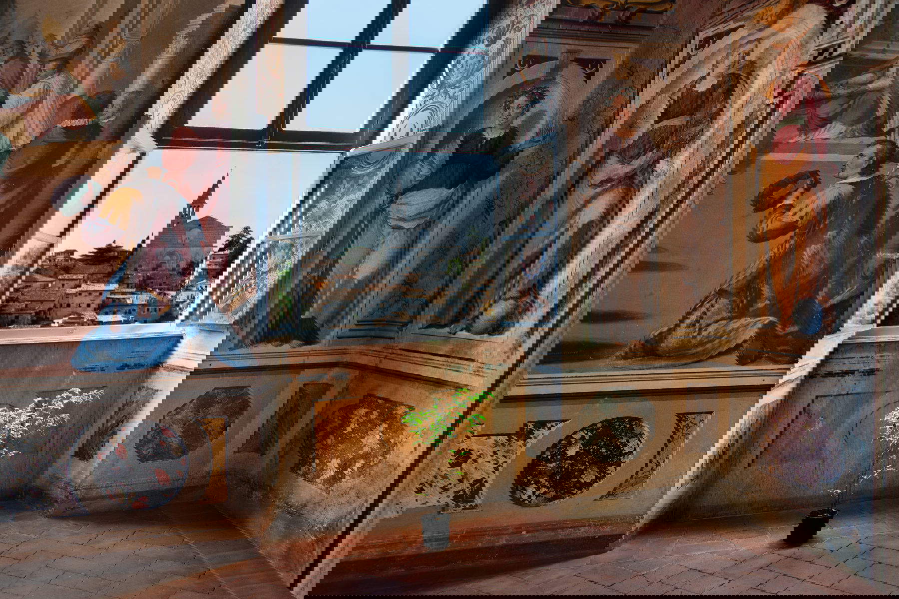 Steve McCurry, Sunlight on a plant under an open window (2012; Todi, Umbria). &copy;Steve McCurry All rights reserved