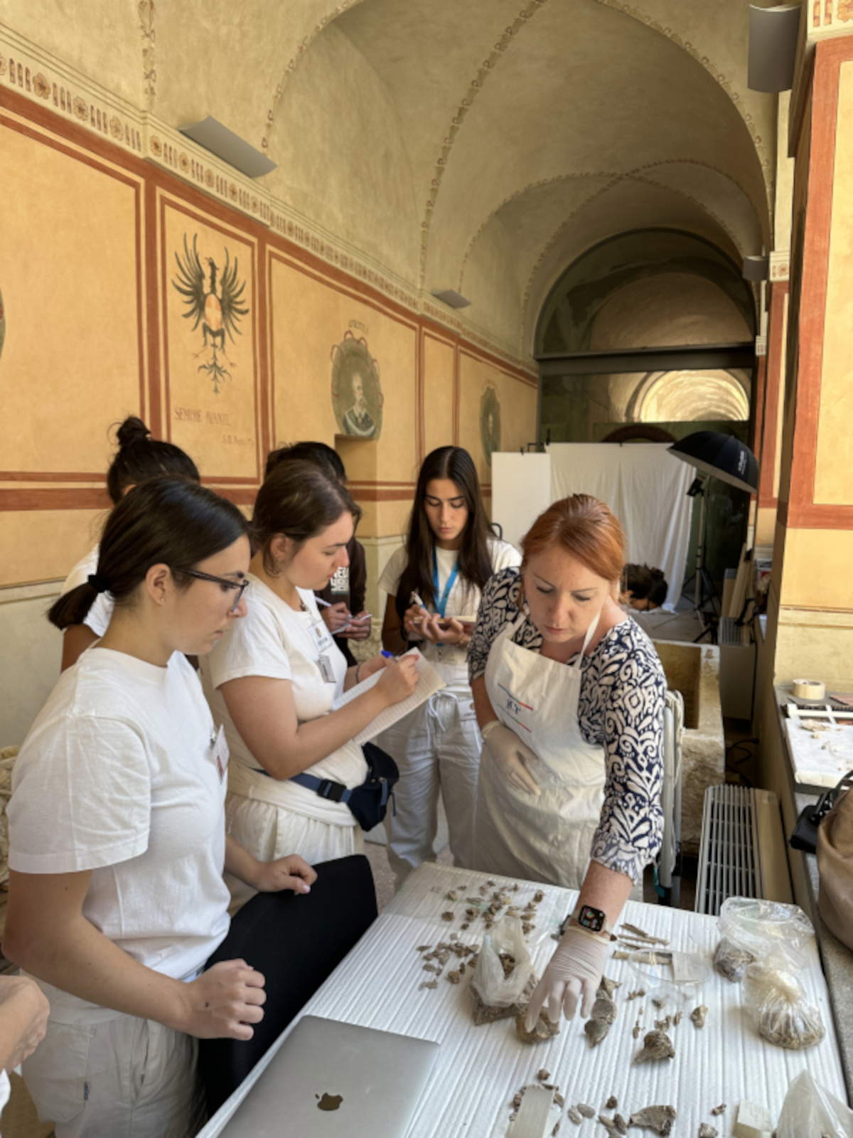 Identification des répertoires humains