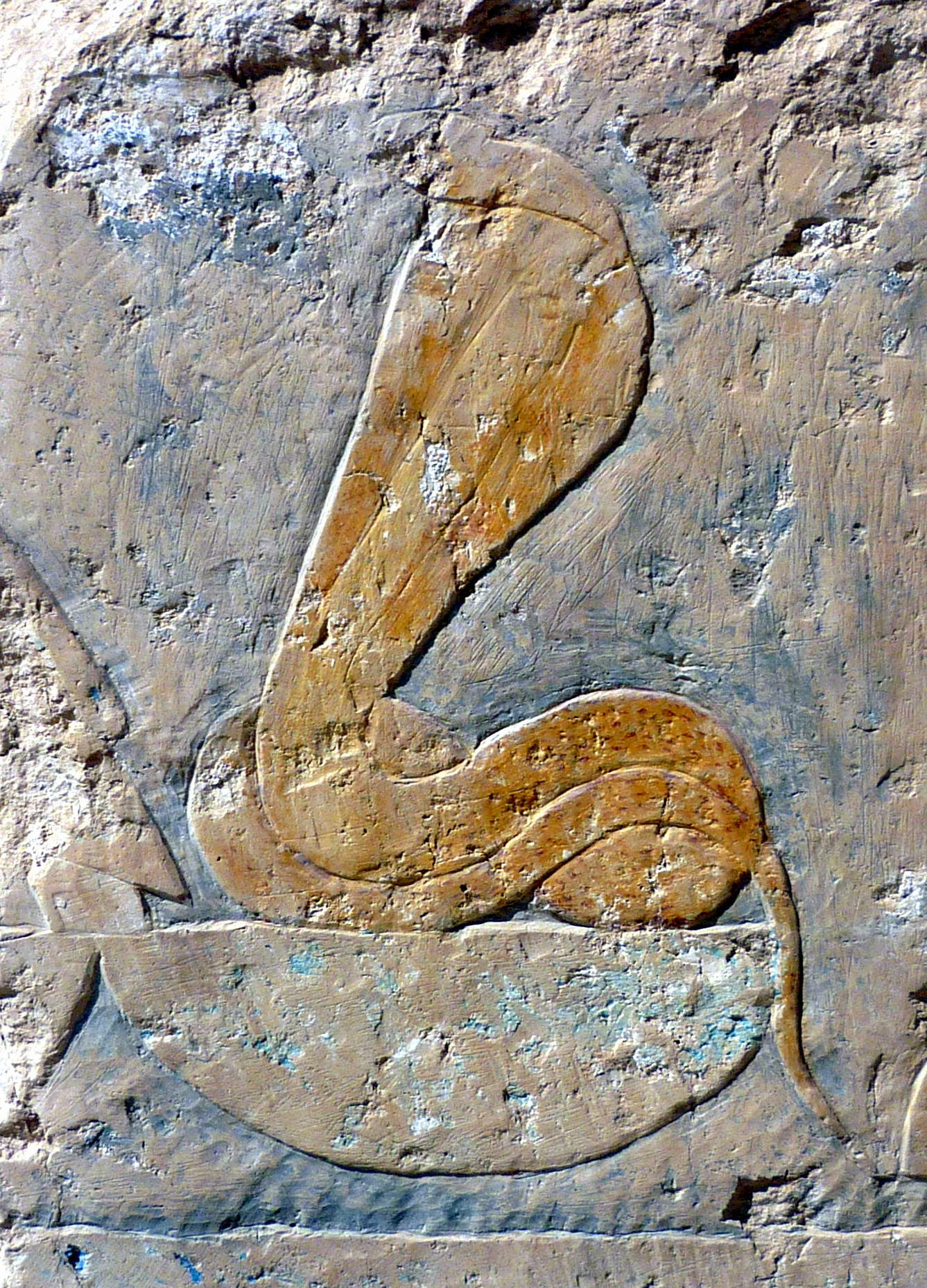 Rilievo di Wadjet, tempio di Hatshepsut, Deir el-Bahari, necropoli tebana, Egitto. Foto: Rémih