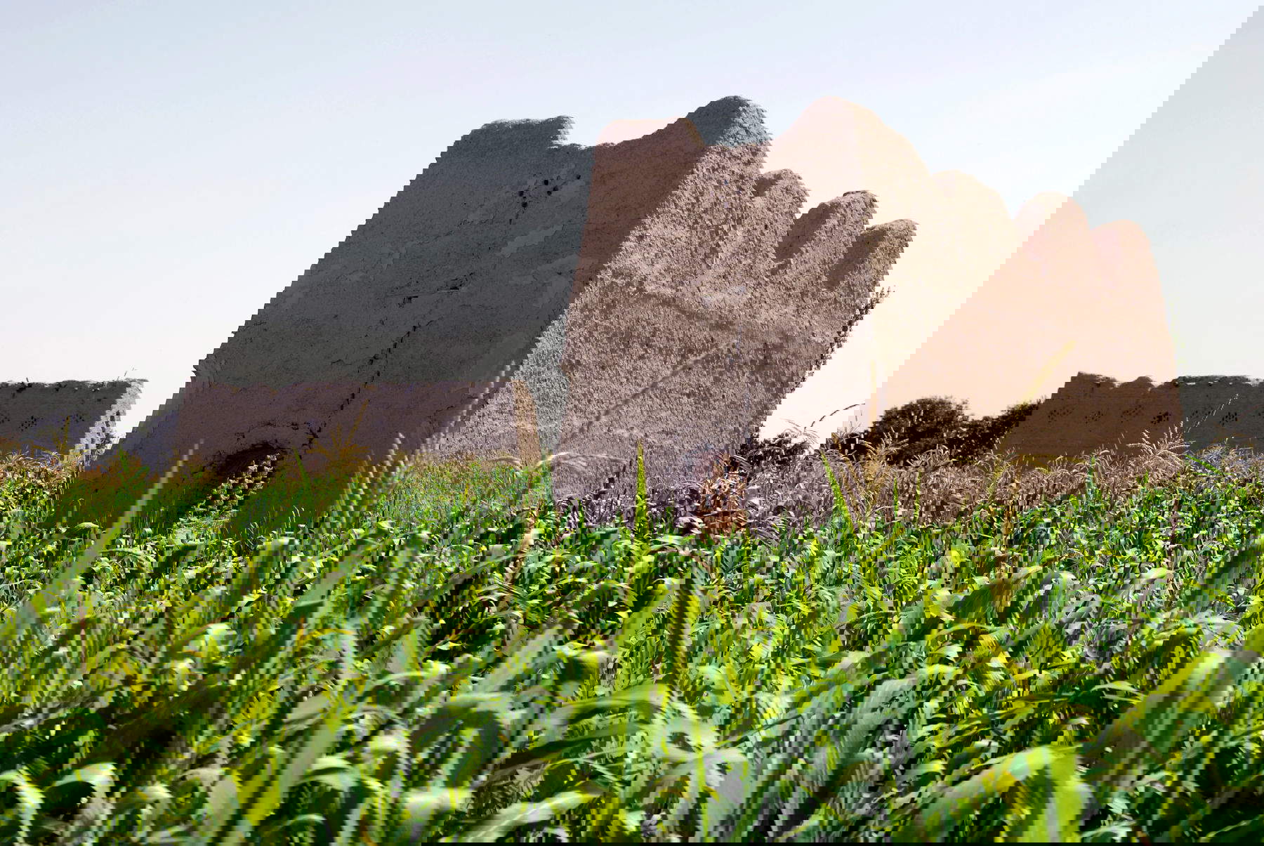 Sanfte Riesen: Die Taubentürme von Isfahan (Iran) werden in Rom ausgestellt