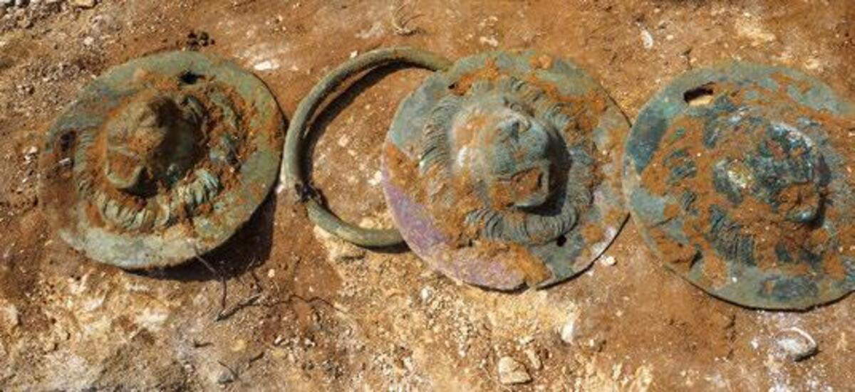 Tre dei dischi a testa di leone recuperati dalla Tomba T6. Foto: A. Peretz.