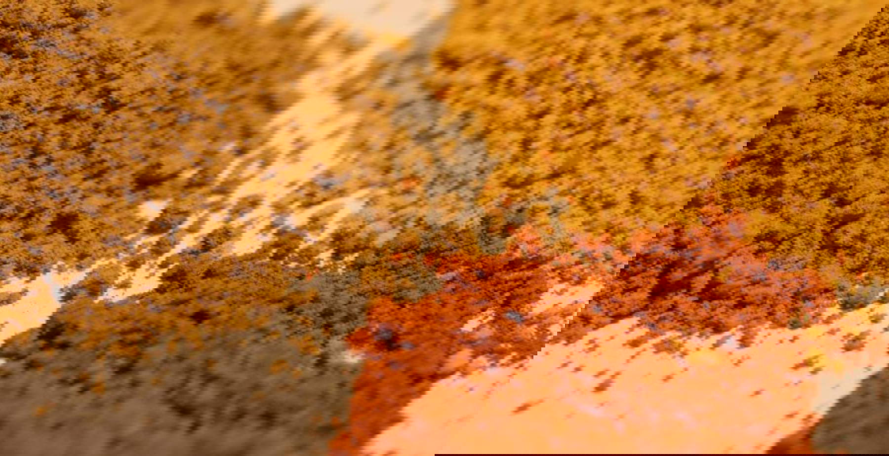 Waren die Neandertaler Künstler? Neue Analysen deuten auf symbolische Verwendung von Farben hin