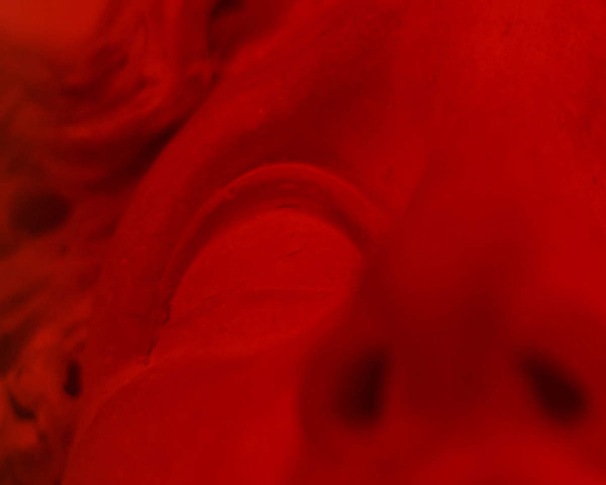 Valentina Furian, Eclipse (2024; vídeo de dos canales, mudo, color; 1'; ed. 2 de 3 + 1 p.a.). Con permiso de UNA y de la artista. Fotos: &copy; Perottino - Piva - Castellano - Bergadano / Artissima