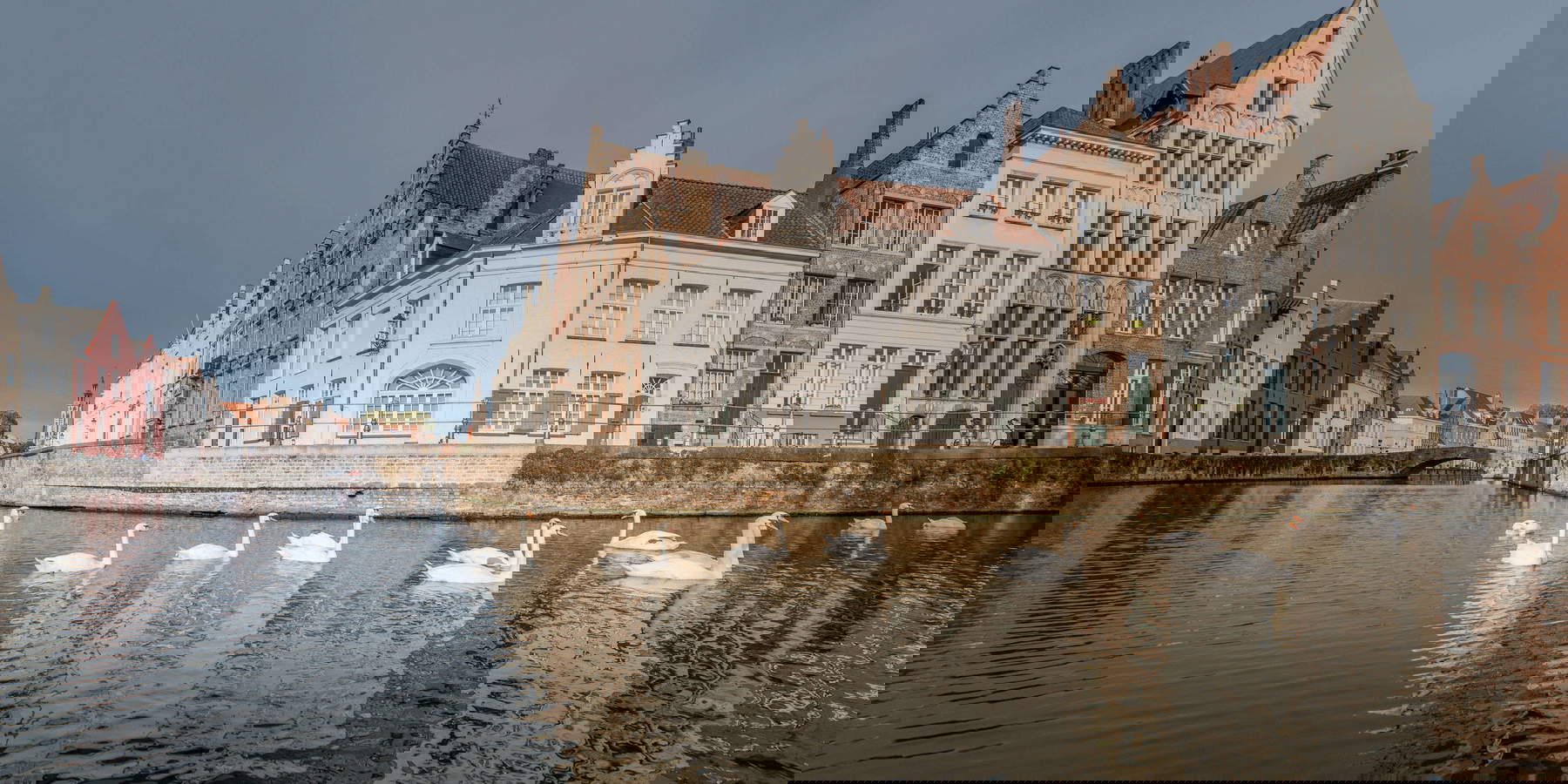 Brujas y sus maestros: un recorrido por el arte y la historia