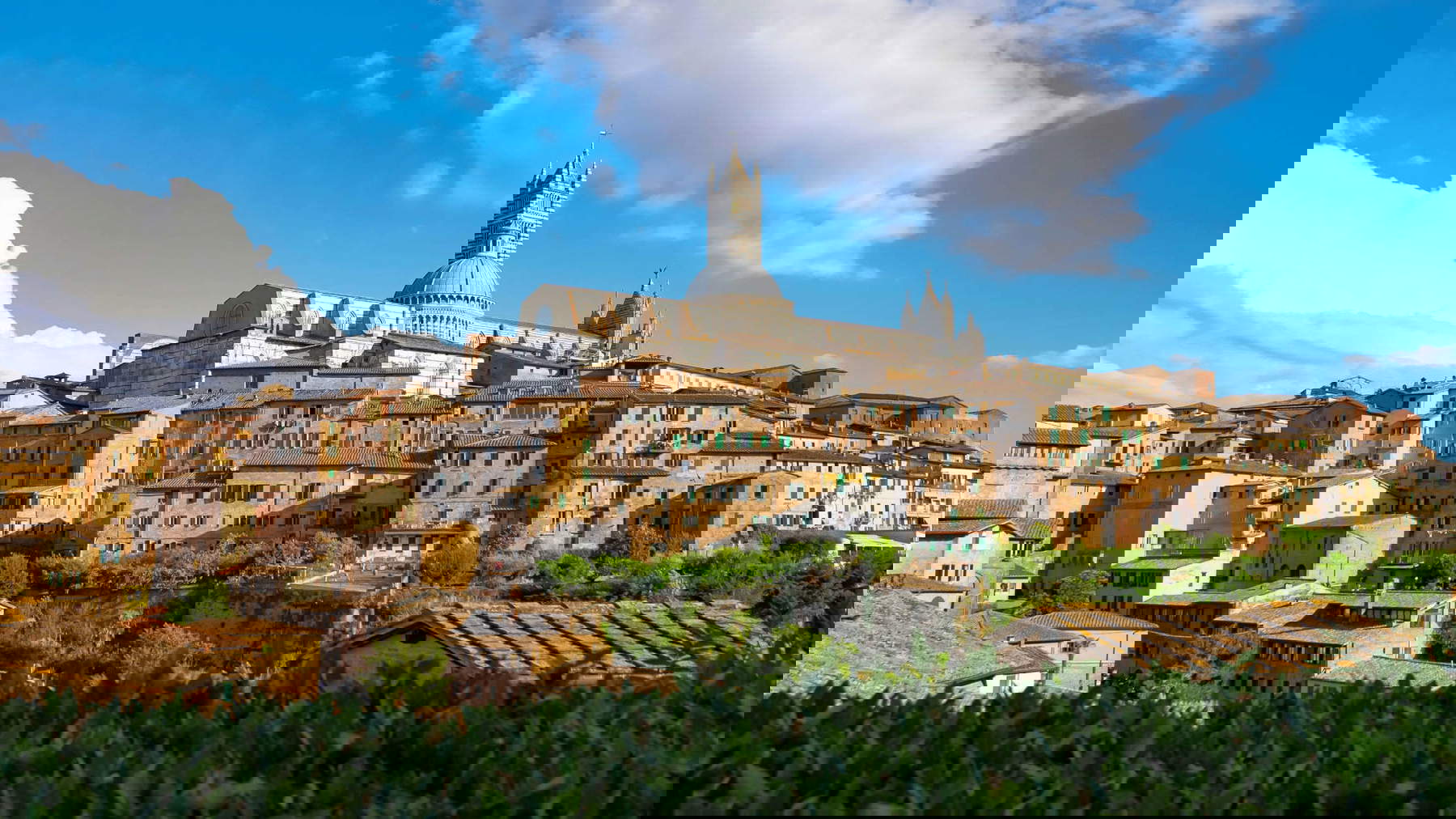 View of Siena. Photo: Alessandro Rossi