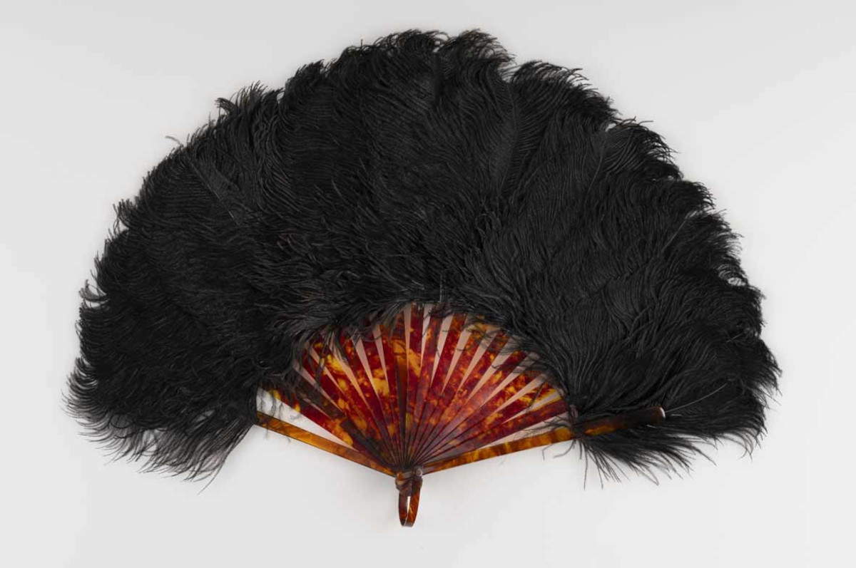 Faltfächer (1890-1915; Schildpatt und Straußenfedern; Privatsammlung) &copy; Foto Studiopagi