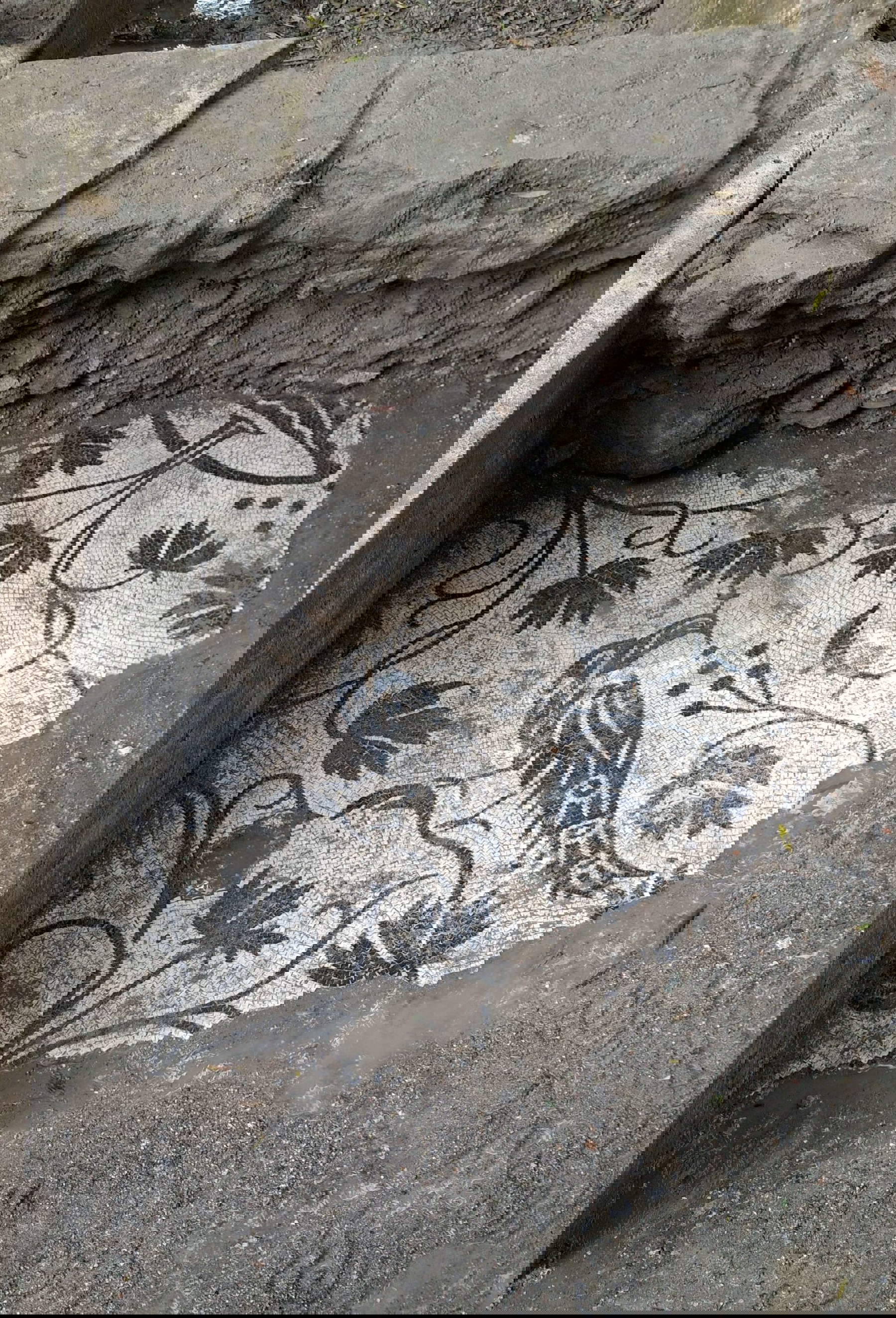 Discoveries from the 2025 excavation of Via Appia Antica 39, Rome