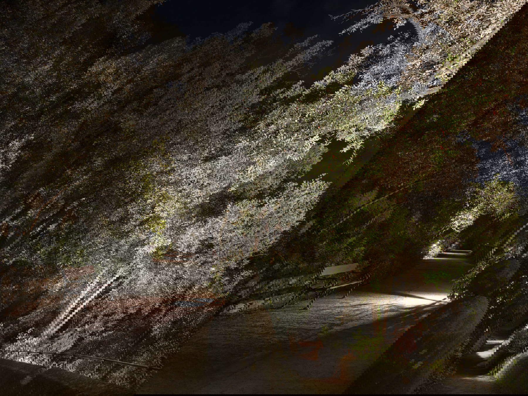 Villa Gregoriana. Photo: Massimo Siragusa