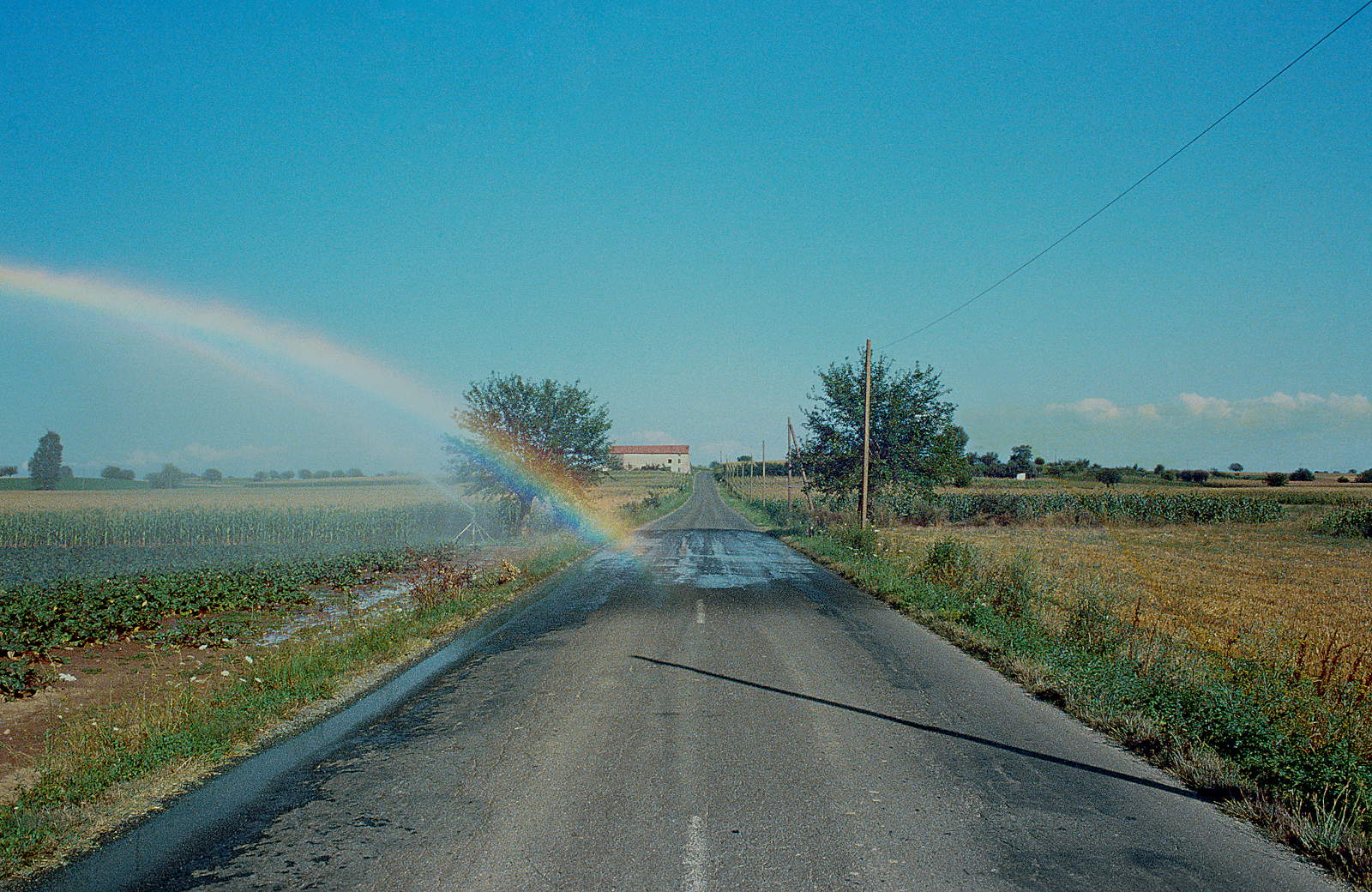 Vittore Fossati, Oviglio, Alessandria, 1981 © Vittore Fossati - Museum of Contemporary Photography, Milan - Cinisello Balsamo