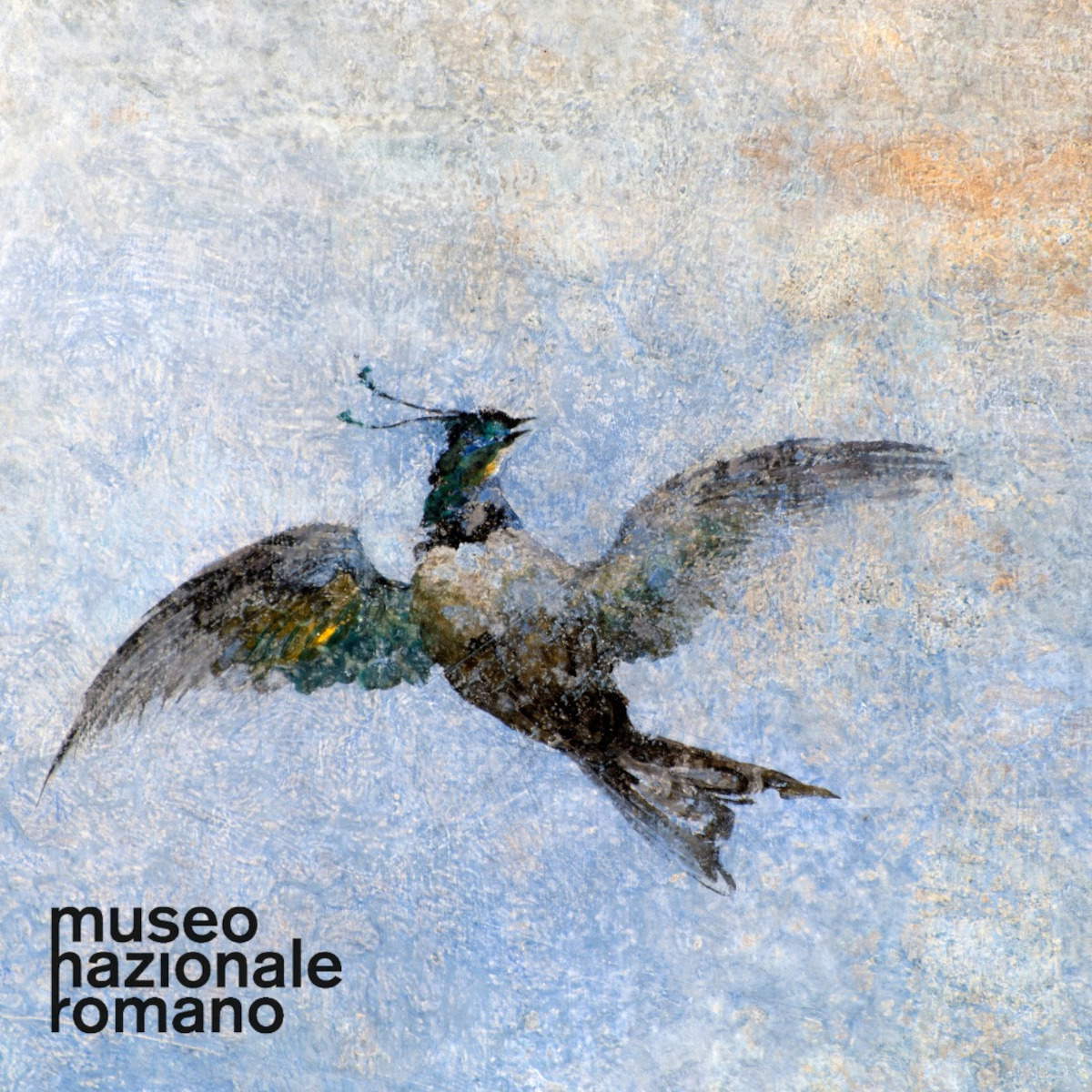 Dettaglio della volta. Foto: Museo Nazionale Romano