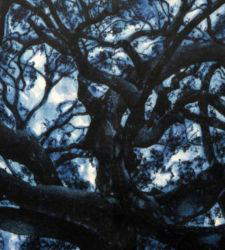 Andrea Chiesi étudie l'essence des lieux dans "Dharmata" à Diano Marina, Imperia