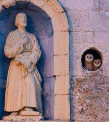 Der Vogelfotograf des Jahres debütiert in Italien in der Festung von Bard