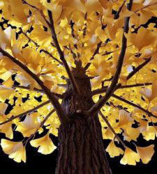 Milan, at Palazzo Citterio, Debora Hirsch's digital installation dedicated to endangered trees